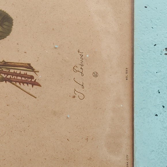 Set of 2 Vintage/Antique Jean Louis J.L Prevost floral prints in blue frames - Picture 4 of 5